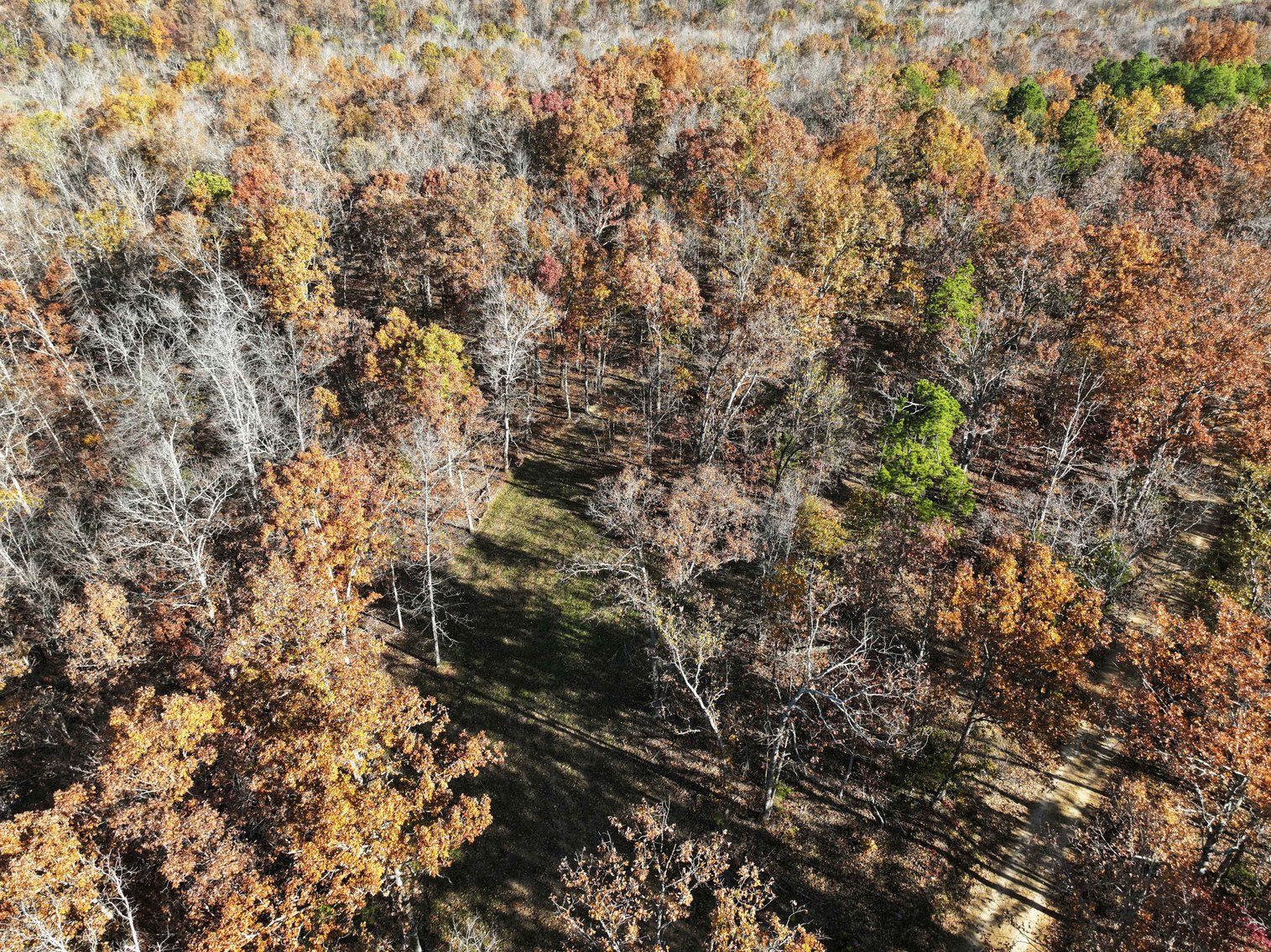 Image for 29.0 +/- Acres, Tract 2 Off BCR 930, Patton MO 63662, MLS # 25075221