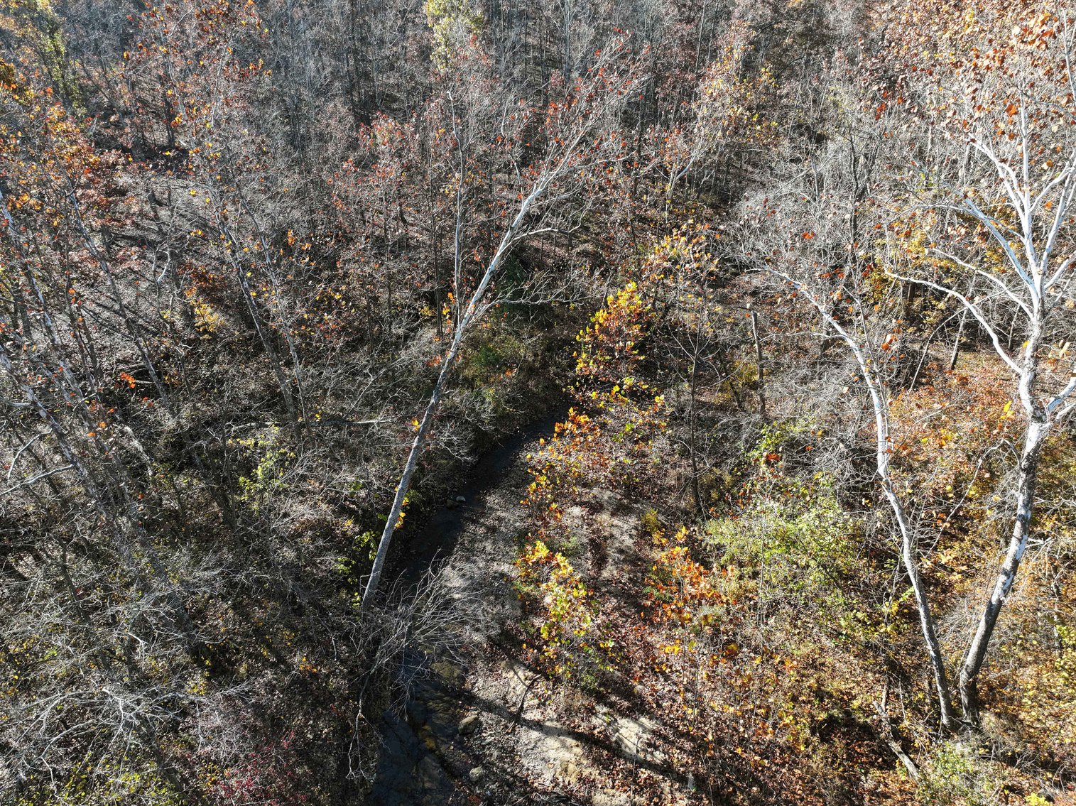 Image for 29.0 +/- Acres, Tract 2 Off BCR 930, Patton MO 63662, MLS # 25075221