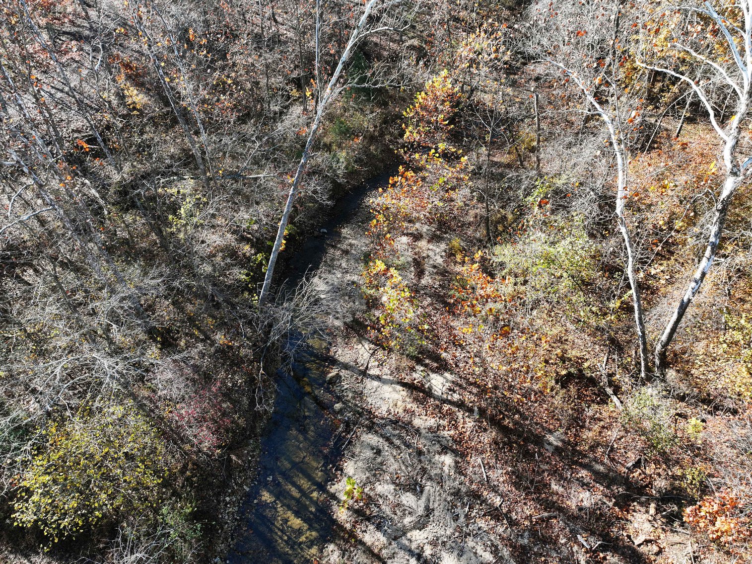 Image for 29.0 +/- Acres, Tract 2 Off BCR 930, Patton MO 63662, MLS # 25075221