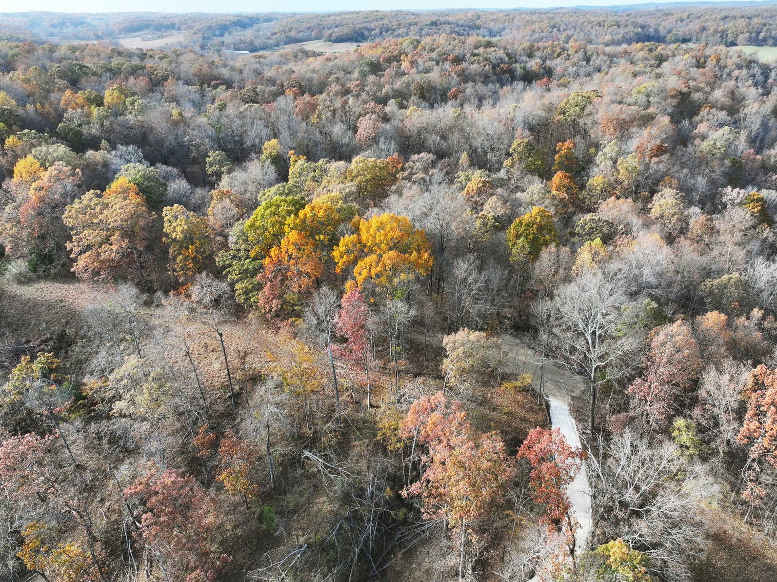 Image for 47.41 Acres m/l, off County Road 606, Cape Girardeau MO 63701, MLS # 25057000
