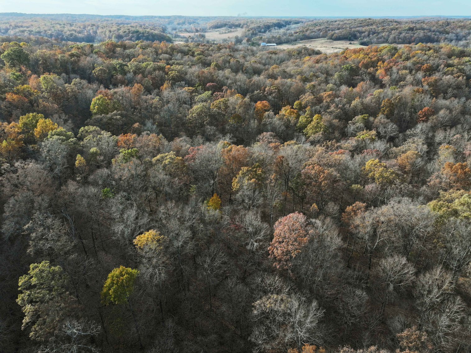 Image for 47.41 Acres m/l, off County Road 606, Cape Girardeau MO 63701, MLS # 25057000