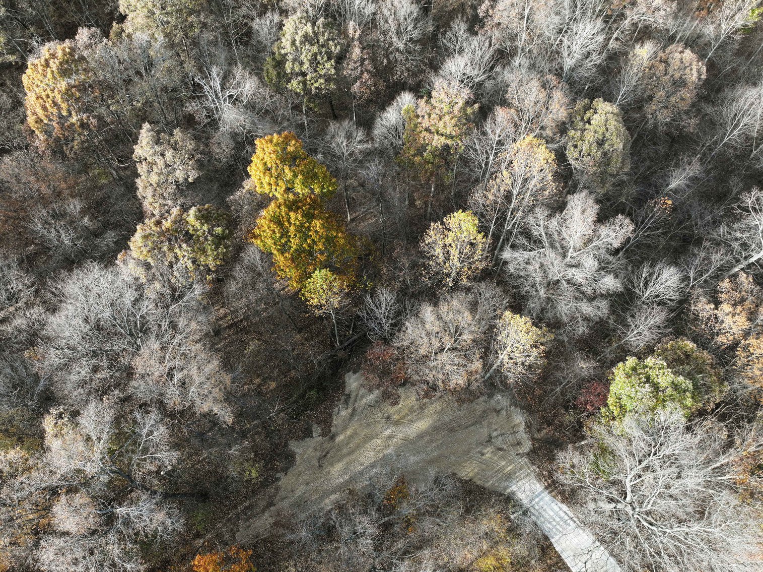 Image for 47.41 Acres m/l, off County Road 606, Cape Girardeau MO 63701, MLS # 25057000