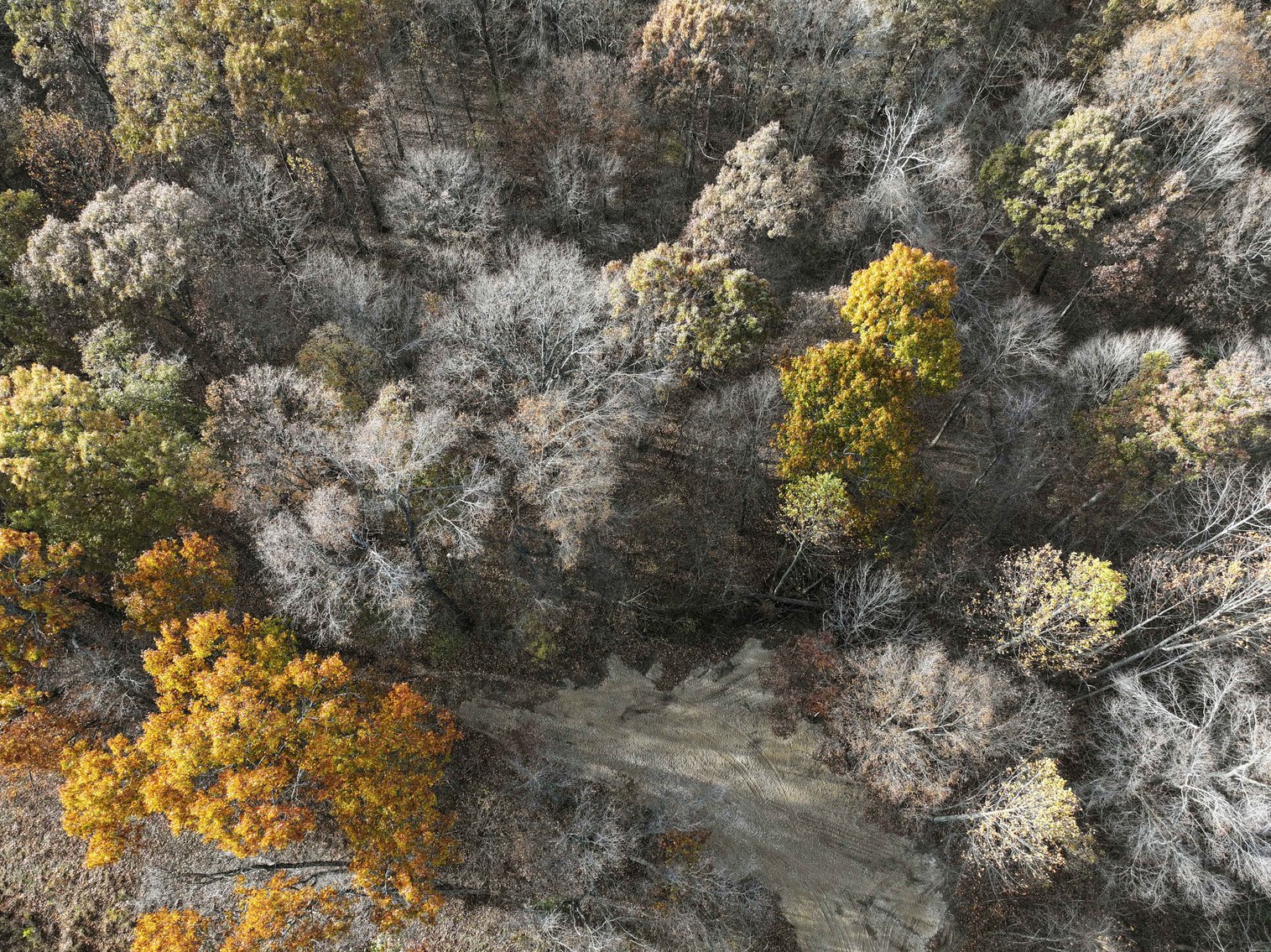 Image for 47.41 Acres m/l, off County Road 606, Cape Girardeau MO 63701, MLS # 25057000