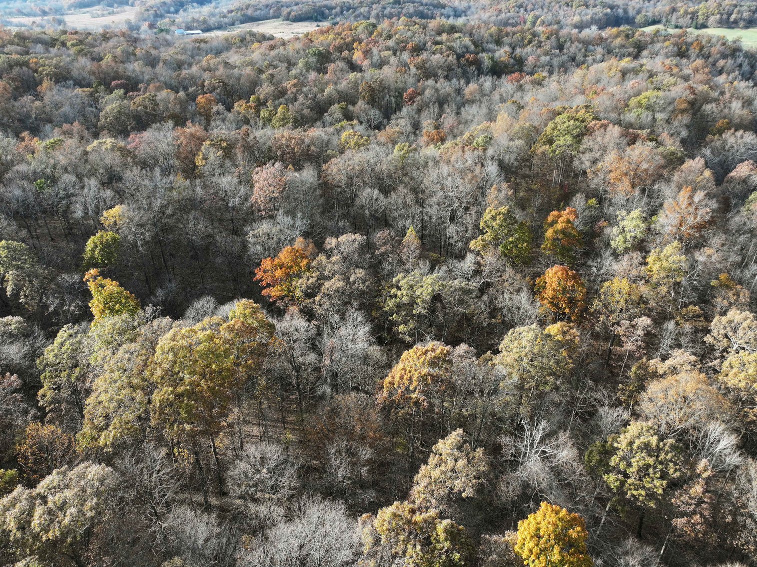 Image for 47.41 Acres m/l, off County Road 606, Cape Girardeau MO 63701, MLS # 25057000