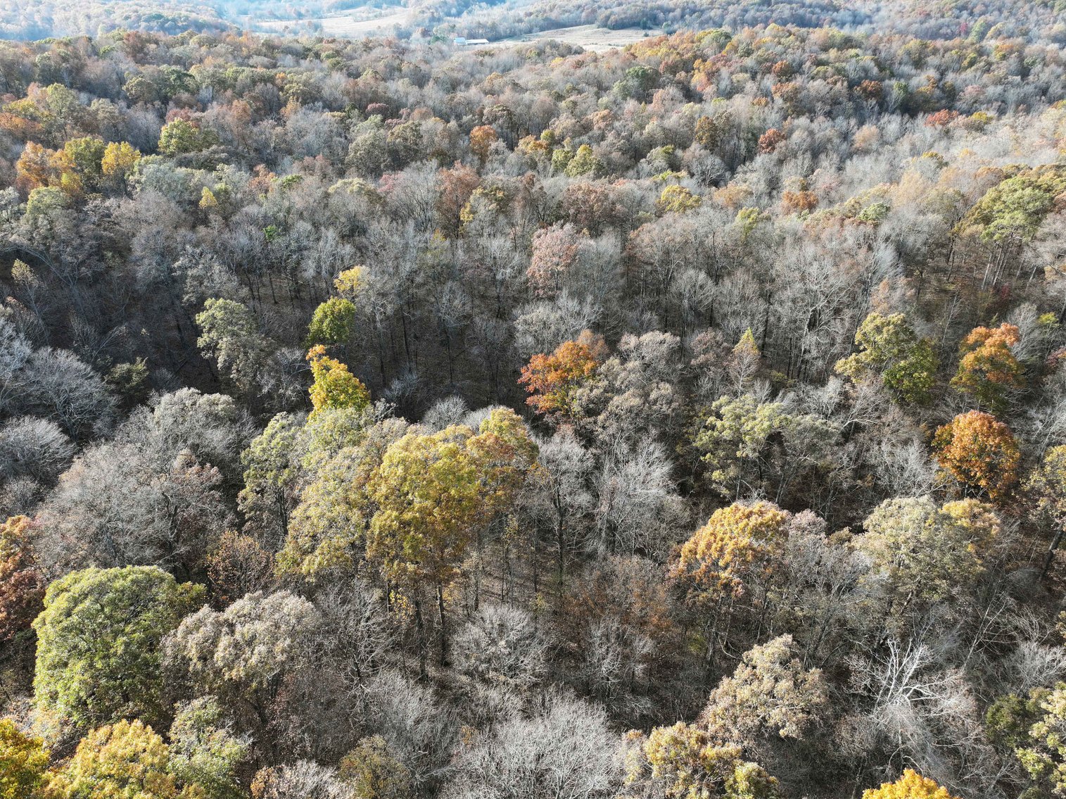 Image for 47.41 Acres m/l, off County Road 606, Cape Girardeau MO 63701, MLS # 25057000