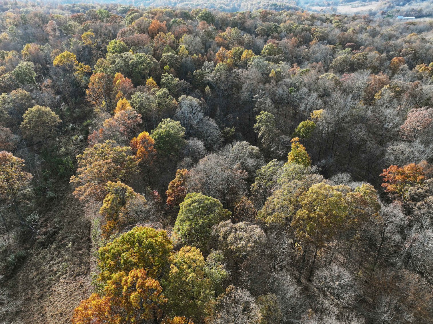 Image for 47.41 Acres m/l, off County Road 606, Cape Girardeau MO 63701, MLS # 25057000
