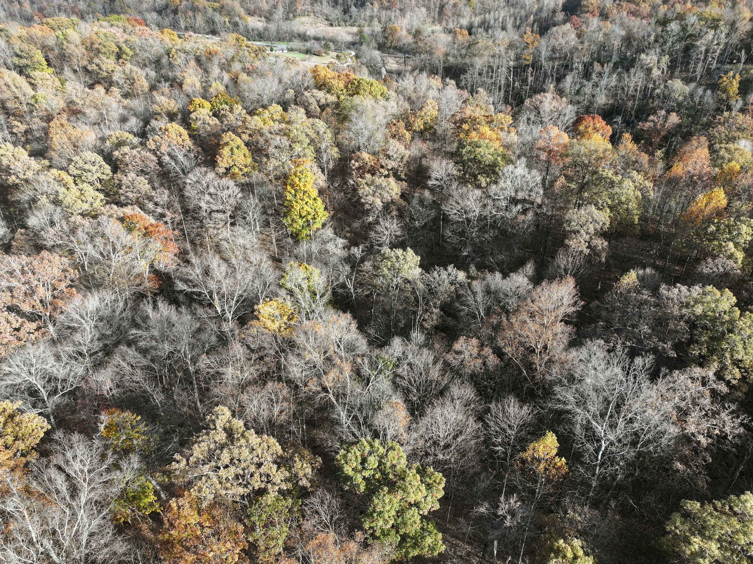Image for 47.41 Acres m/l, off County Road 606, Cape Girardeau MO 63701, MLS # 25057000