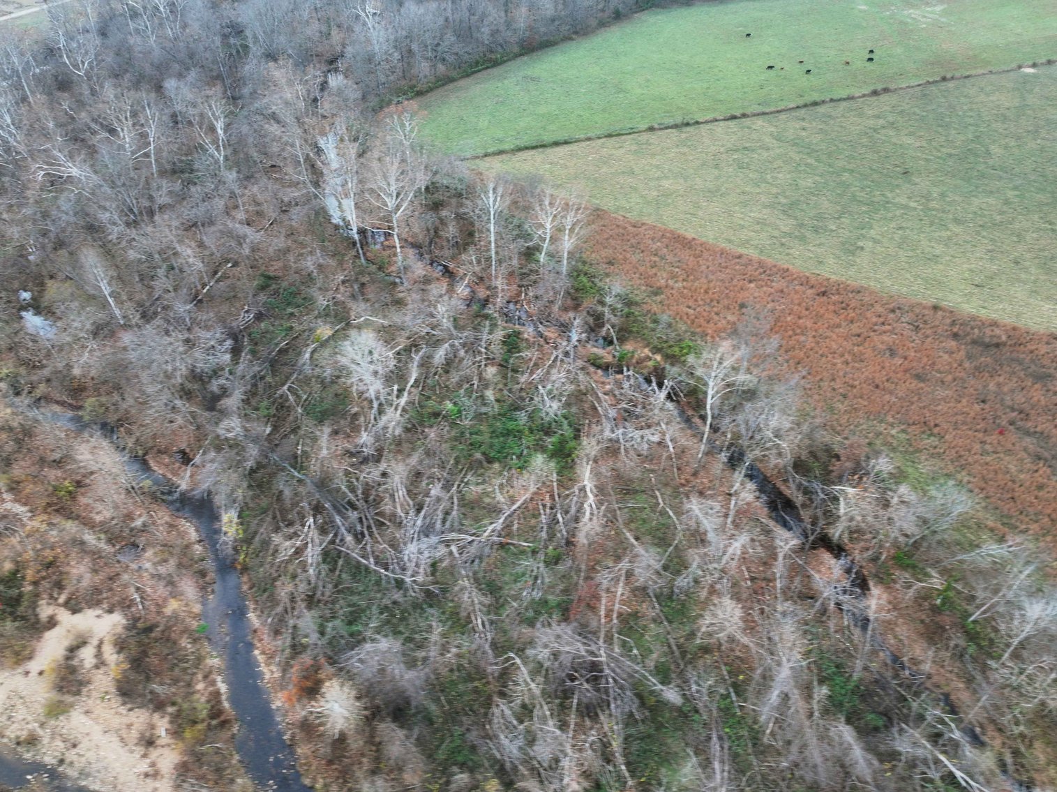 Image for 11.98 Acres +/-, Off Hwy ZZ, Marble Hill MO 63764, MLS #25077610