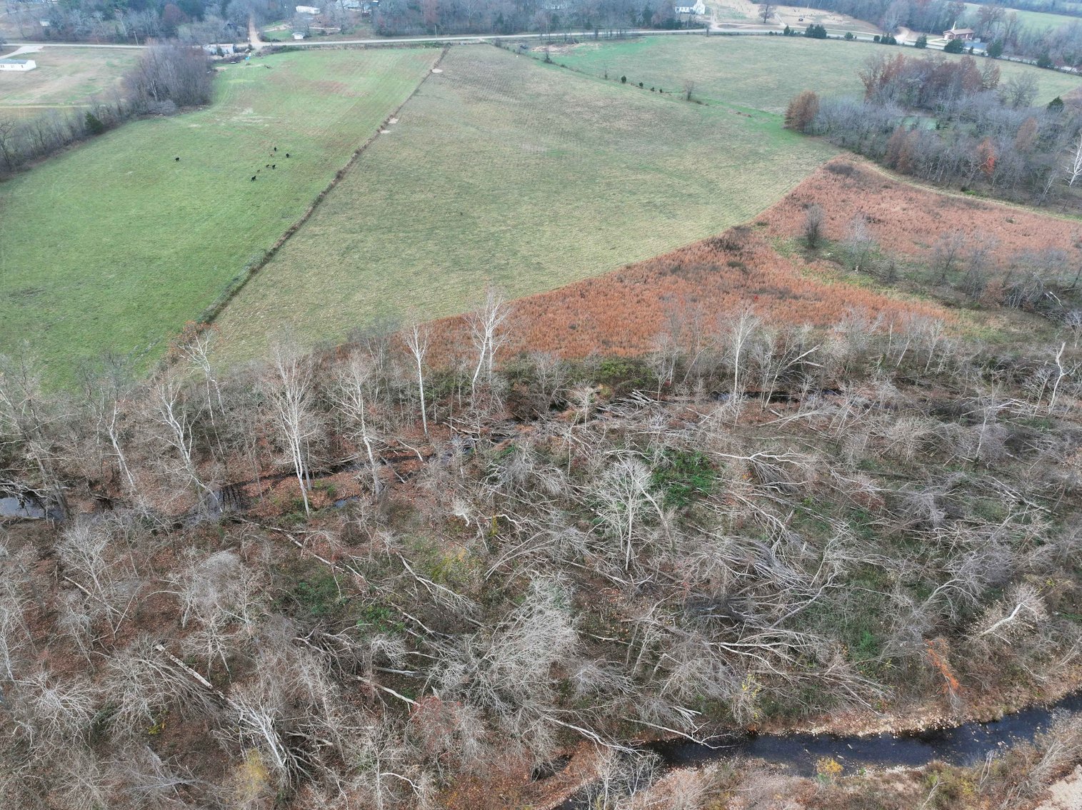 Image for 11.98 Acres +/-, Off Hwy ZZ, Marble Hill MO 63764, MLS #25077610