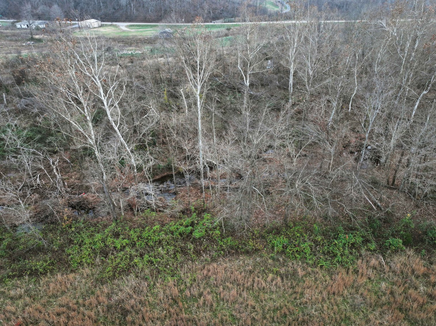 Image for 11.98 Acres +/-, Off Hwy ZZ, Marble Hill MO 63764, MLS #25077610