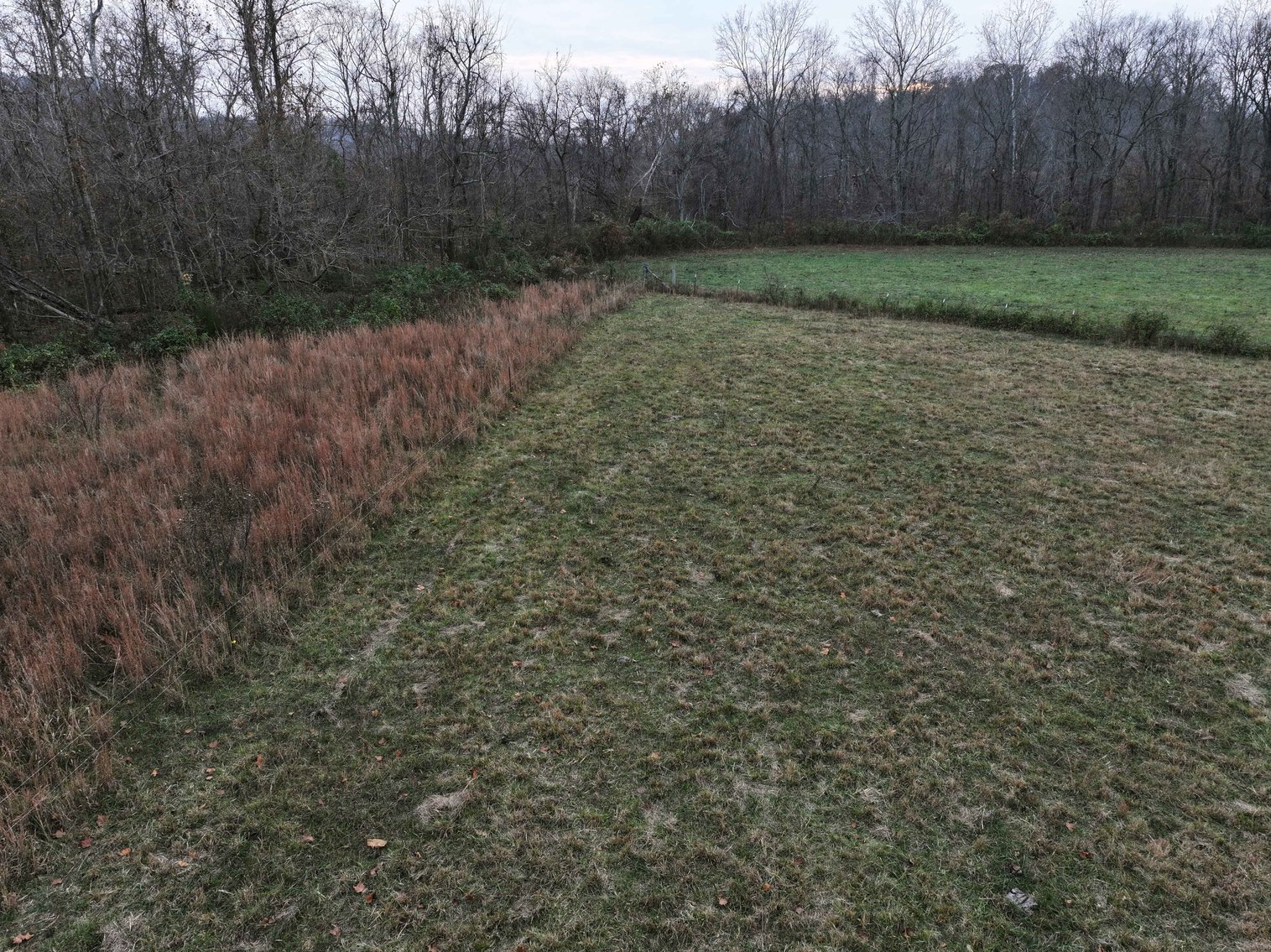 Image for 11.98 Acres +/-, Off Hwy ZZ, Marble Hill MO 63764, MLS #25077610