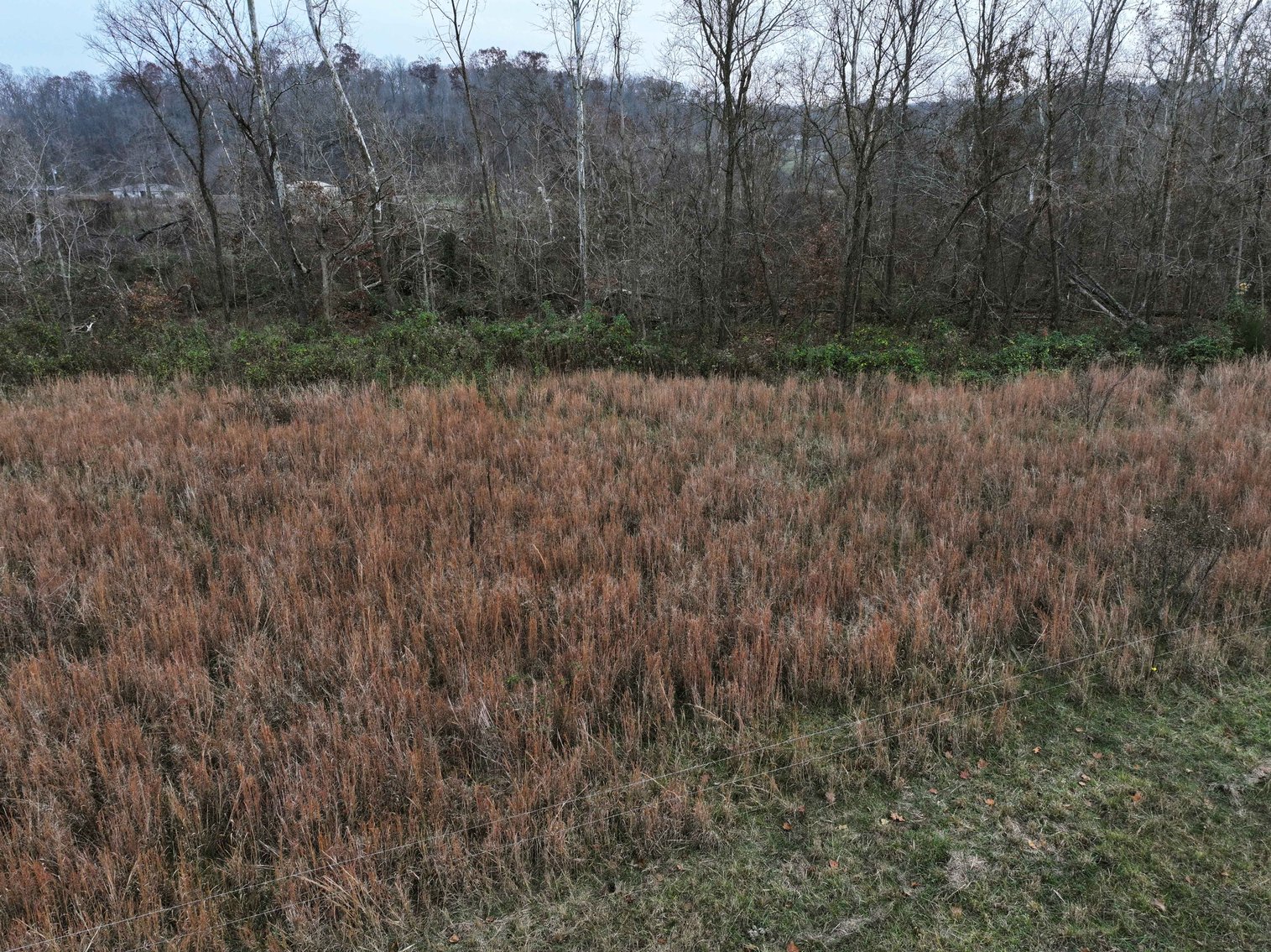 Image for 11.98 Acres +/-, Off Hwy ZZ, Marble Hill MO 63764, MLS #25077610