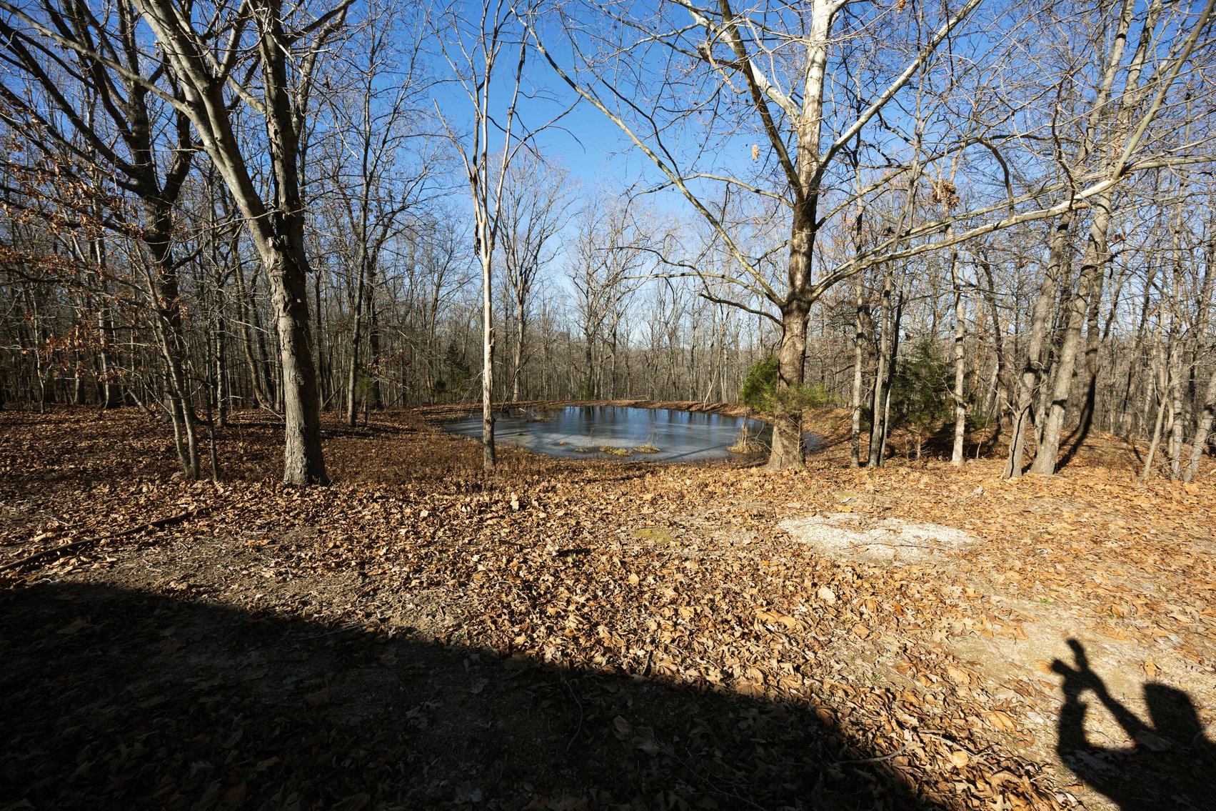 Image for 101.02 Acres M/L 23609 State Hwy OO, Marble Hill, MO 63764, MLS #26012337