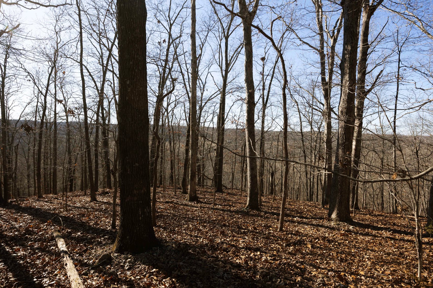 Image for 101.02 Acres M/L 23609 State Hwy OO, Marble Hill, MO 63764, MLS #26012337