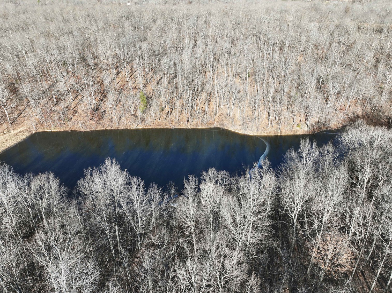 Image for 101.02 Acres M/L 23609 State Hwy OO, Marble Hill, MO 63764, MLS #26012337