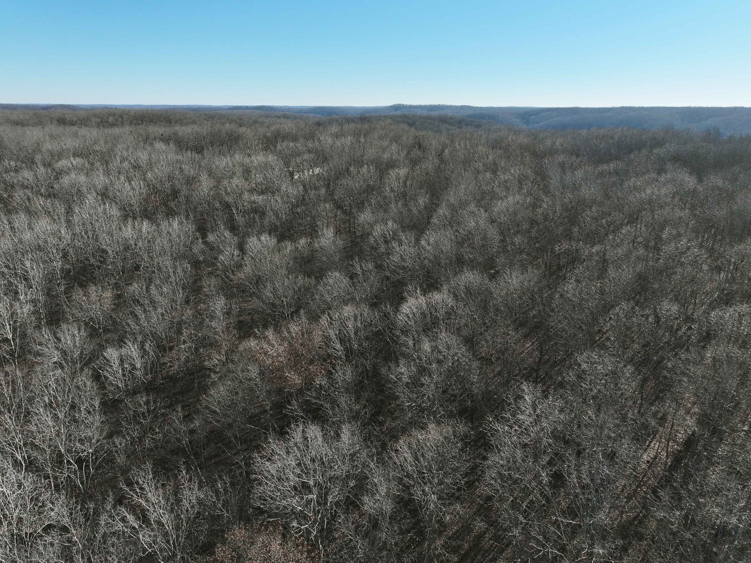 Image for 101.02 Acres M/L 23609 State Hwy OO, Marble Hill, MO 63764, MLS #26012337