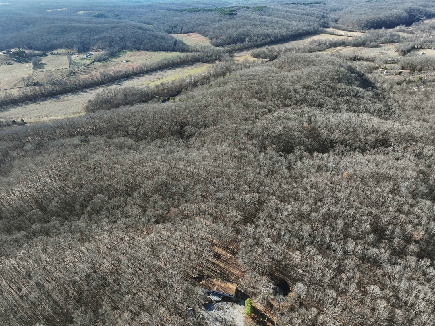 Image for 101.02 Acres M/L 23609 State Hwy OO, Marble Hill, MO 63764, MLS #26012337