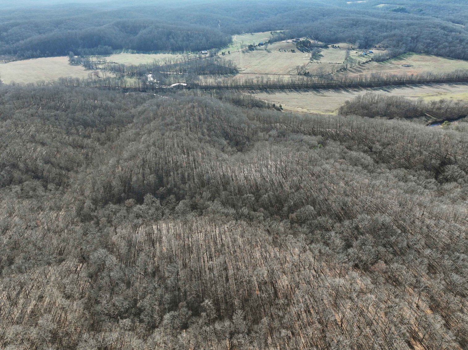 Image for 101.02 Acres M/L 23609 State Hwy OO, Marble Hill, MO 63764, MLS #26012337