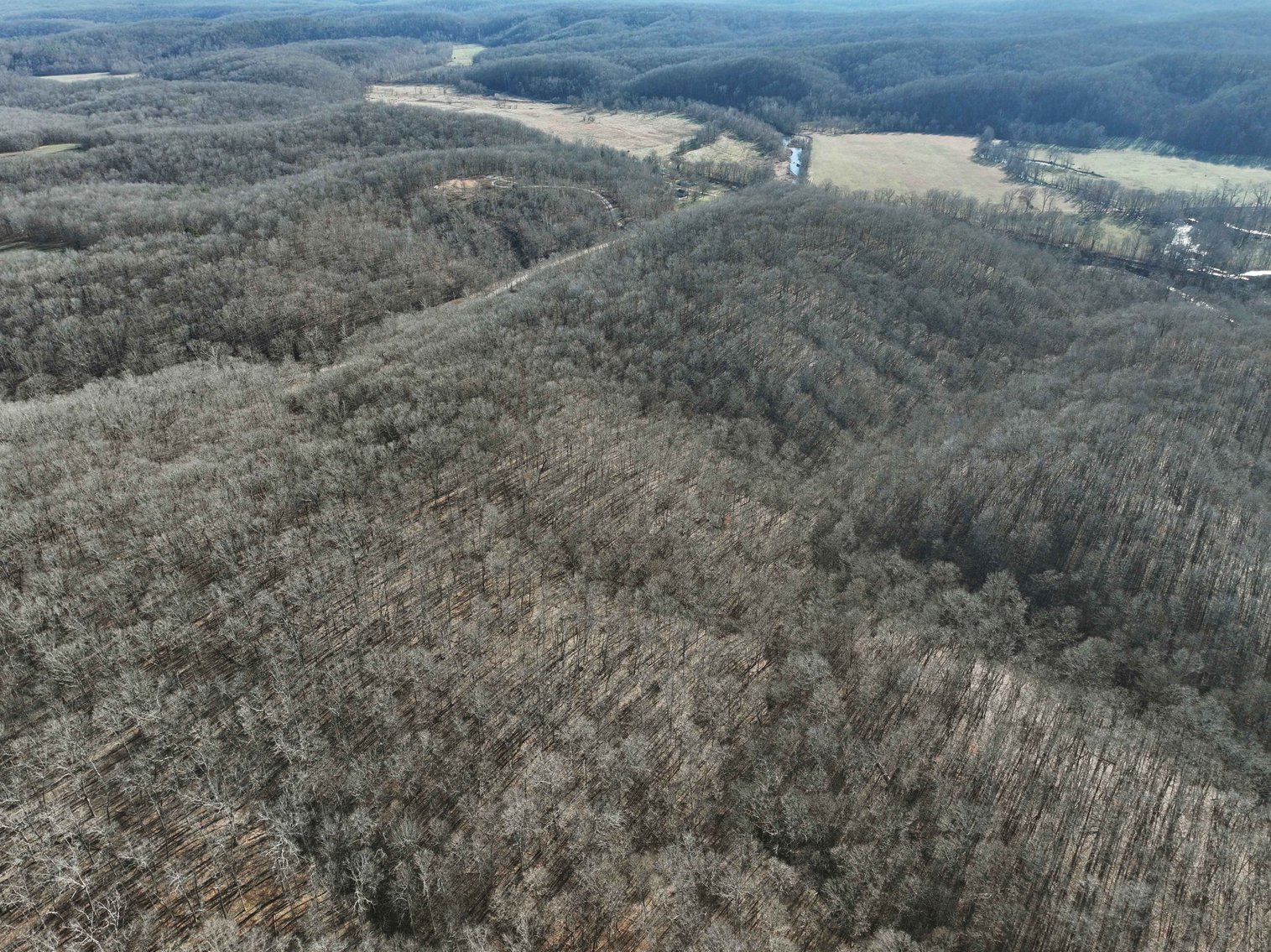 Image for 101.02 Acres M/L 23609 State Hwy OO, Marble Hill, MO 63764, MLS #26012337