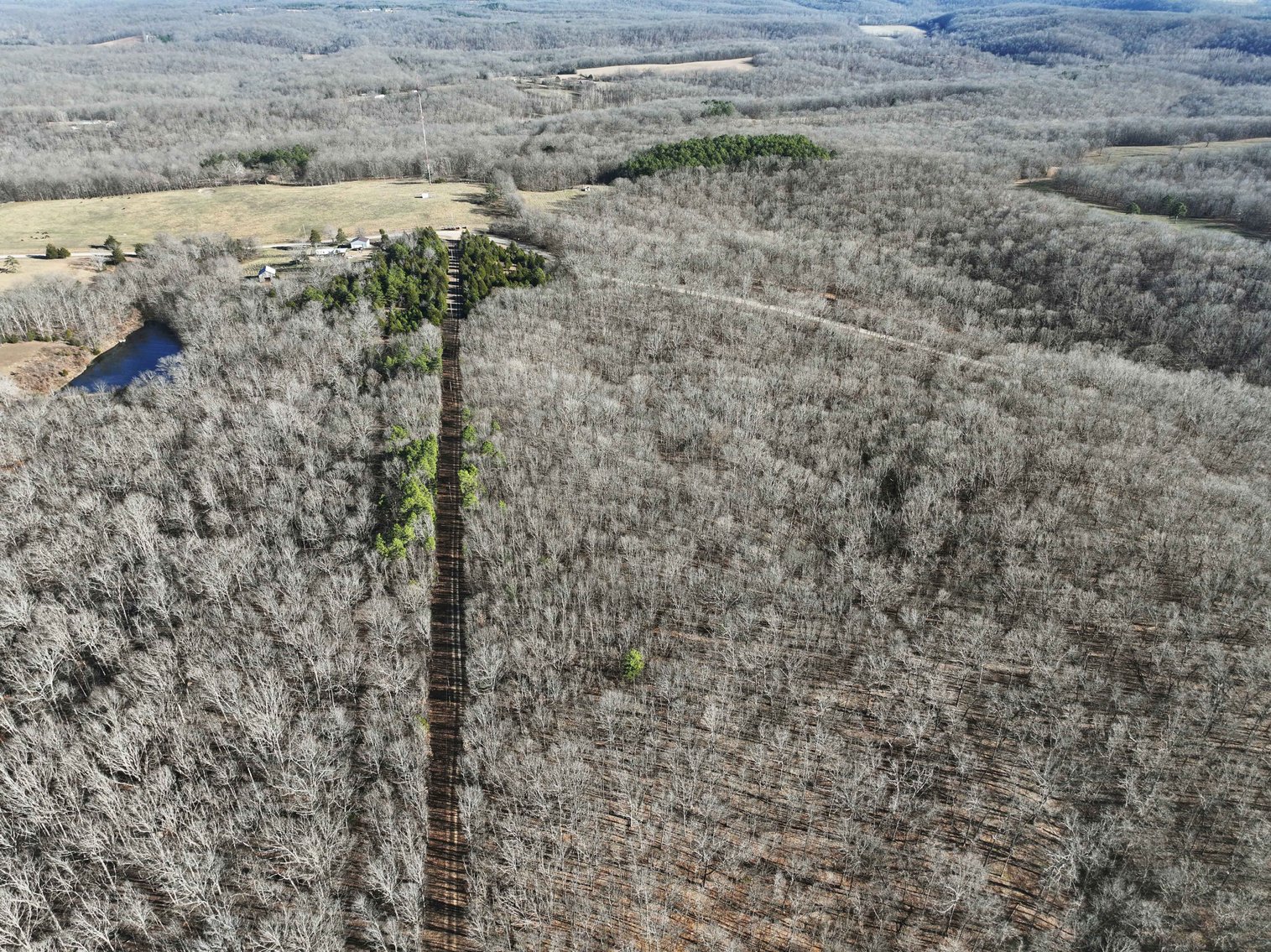 Image for 101.02 Acres M/L 23609 State Hwy OO, Marble Hill, MO 63764, MLS #26012337