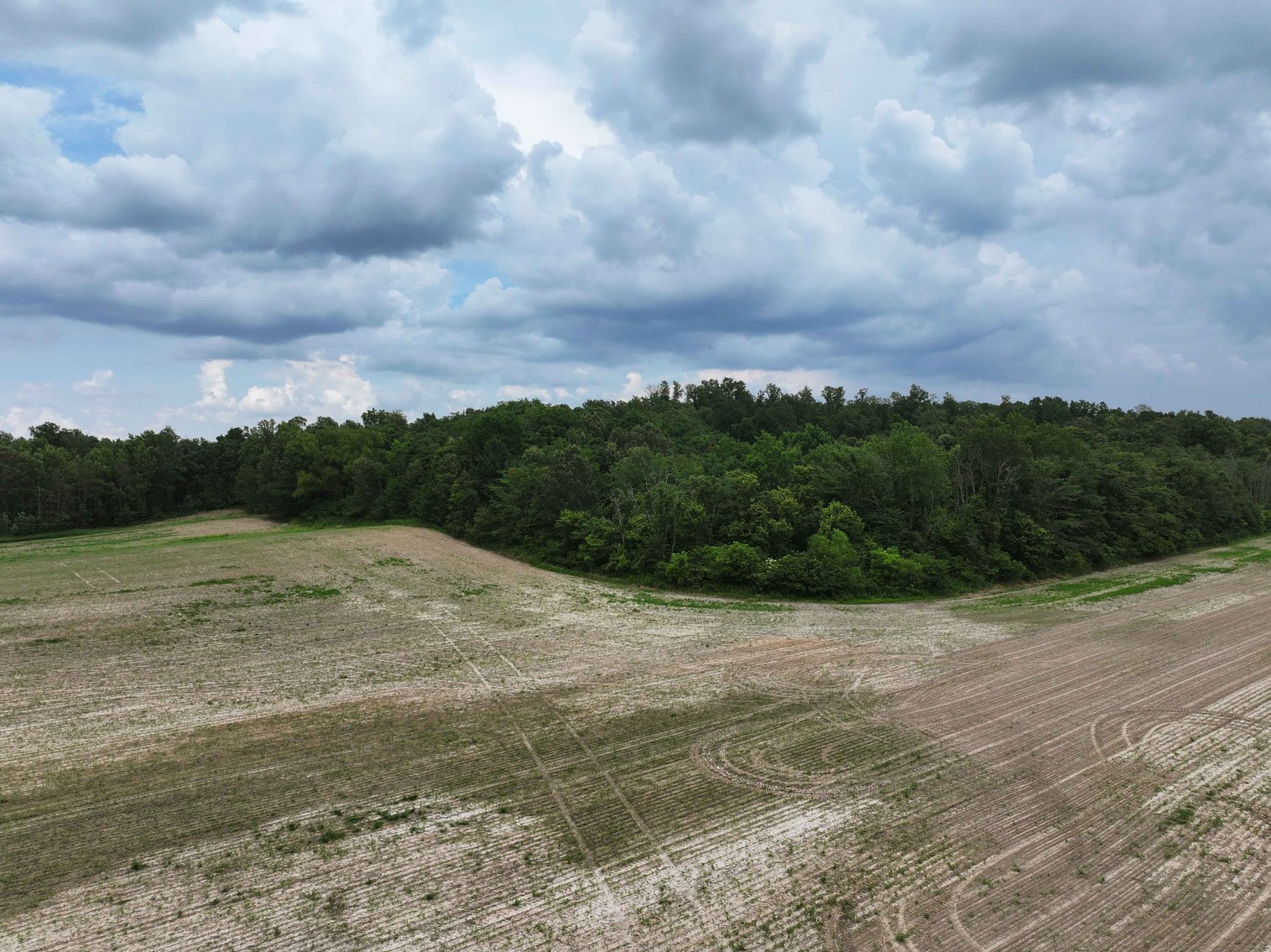 Image for 21.07 Ac m/l Tract 3 Off County Road 259 Advance, MO 63730, MLS # 26000255