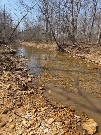 Image for 25.5 Acres +/-, Tract 1 Off BCR 930, Patton Missouri 63662, MLS #25075217