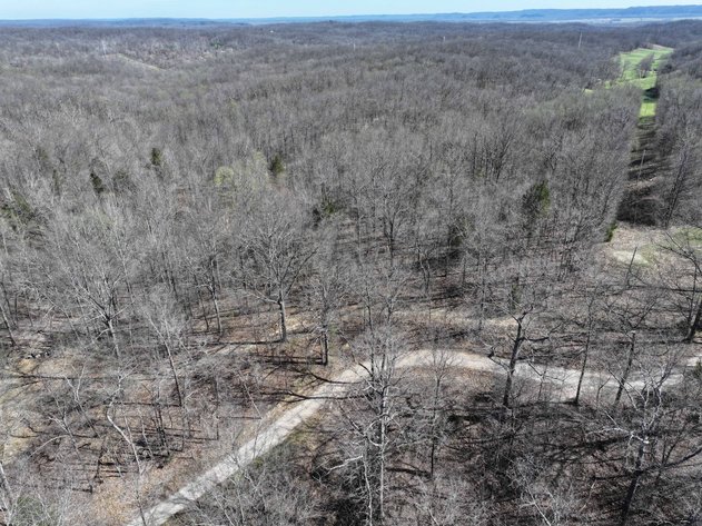 Image for 26.22 Ac +/-, Tract 2, Catalpa Ln, Jackson MO 63755, MLS 26018183