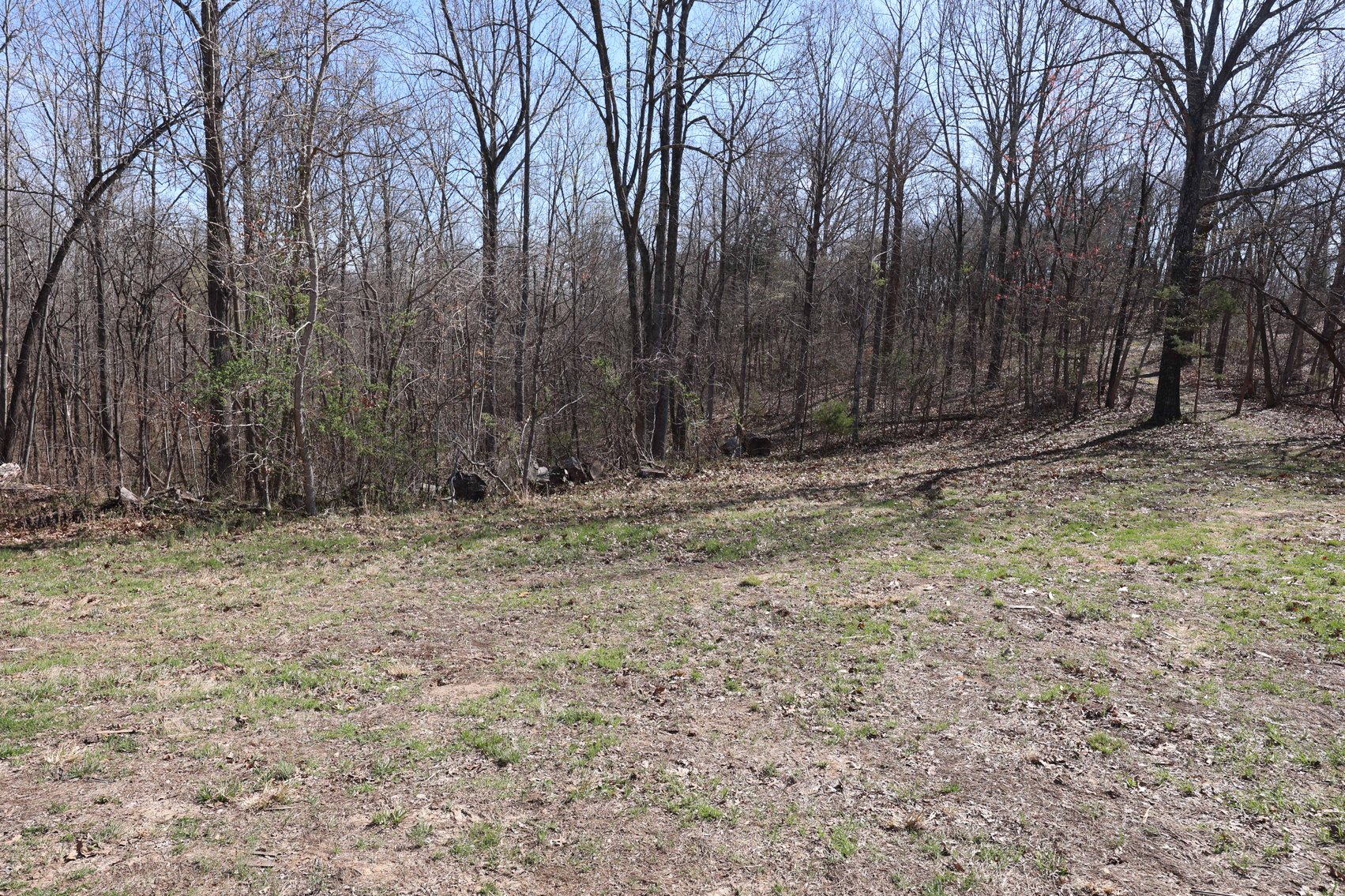 Image for 23.43 Ac +/-, Tract 3, Catalpa Ln, Jackson MO 63755, MLS 26018186