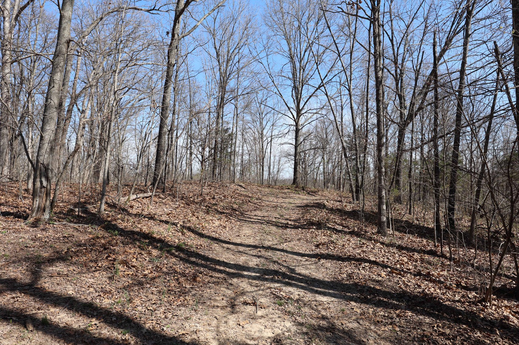 Image for 23.43 Ac +/-, Tract 3, Catalpa Ln, Jackson MO 63755, MLS 26018186