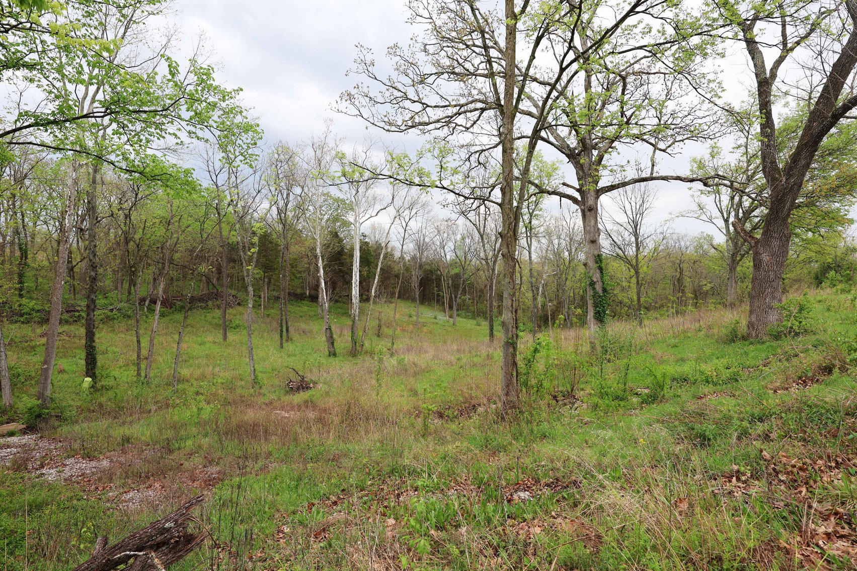 Image for Lot 12, 13, 14 Dorothy Dr, Perryville MO 63775, MLS #26021663
