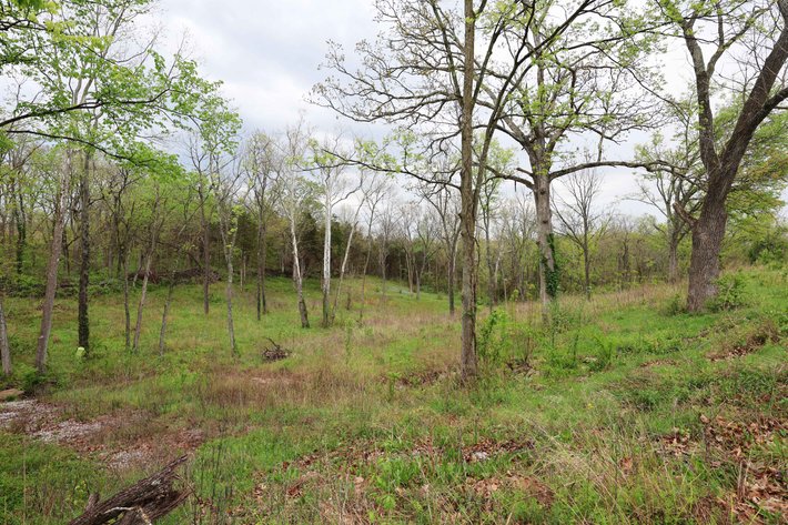 Image for Lot 12, 13, 14 Dorothy Dr, Perryville MO 63775, MLS #26021663