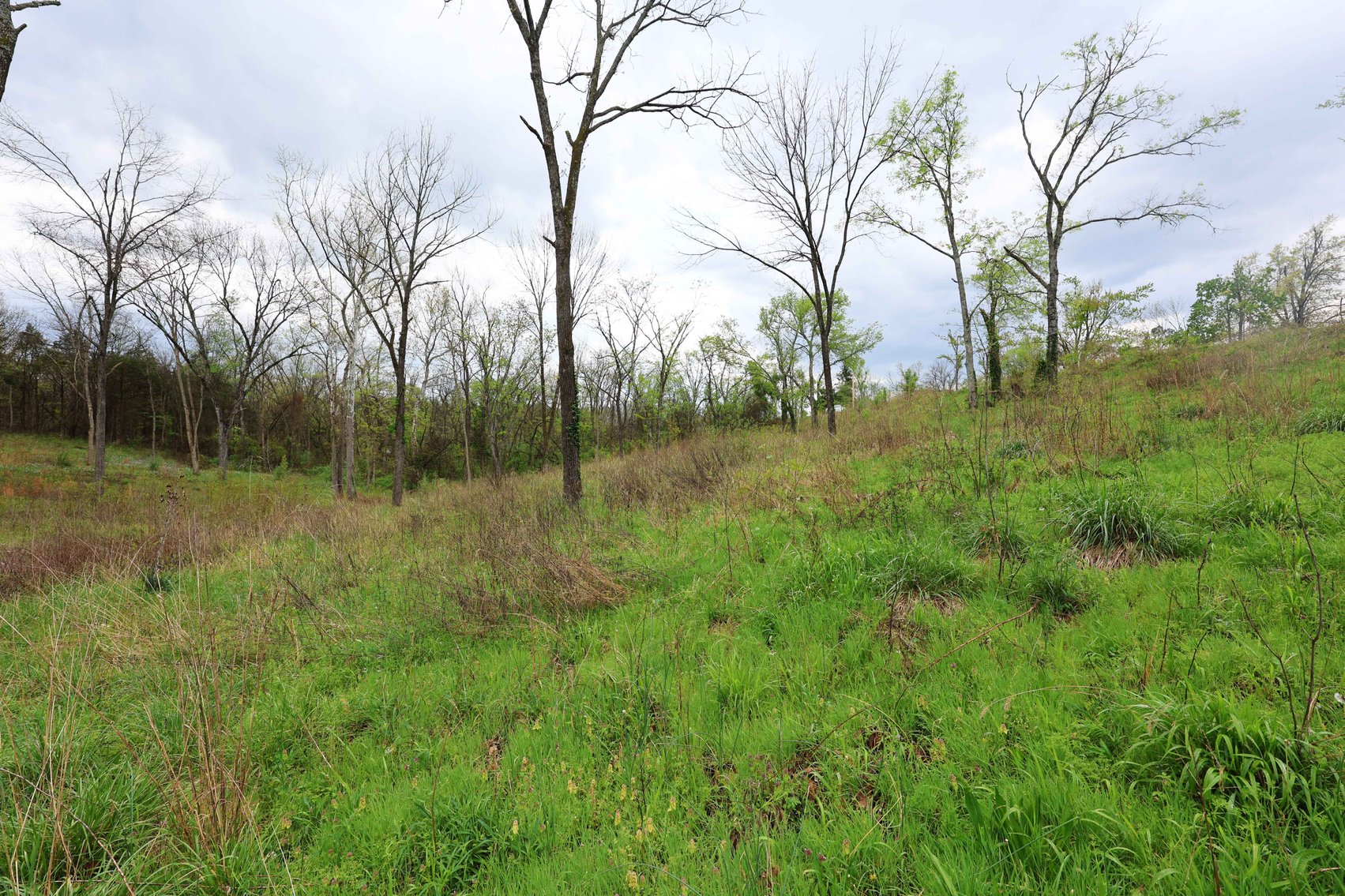 Image for Lot 12, 13, 14 Dorothy Dr, Perryville MO 63775, MLS #26021663
