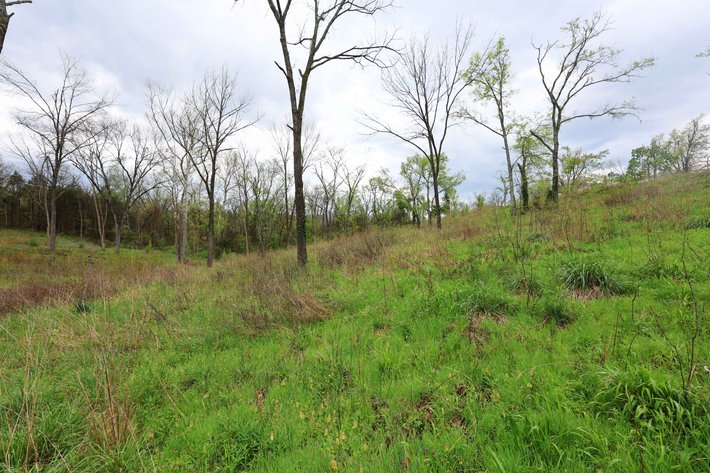 Image for Lot 12, 13, 14 Dorothy Dr, Perryville MO 63775, MLS #26021663