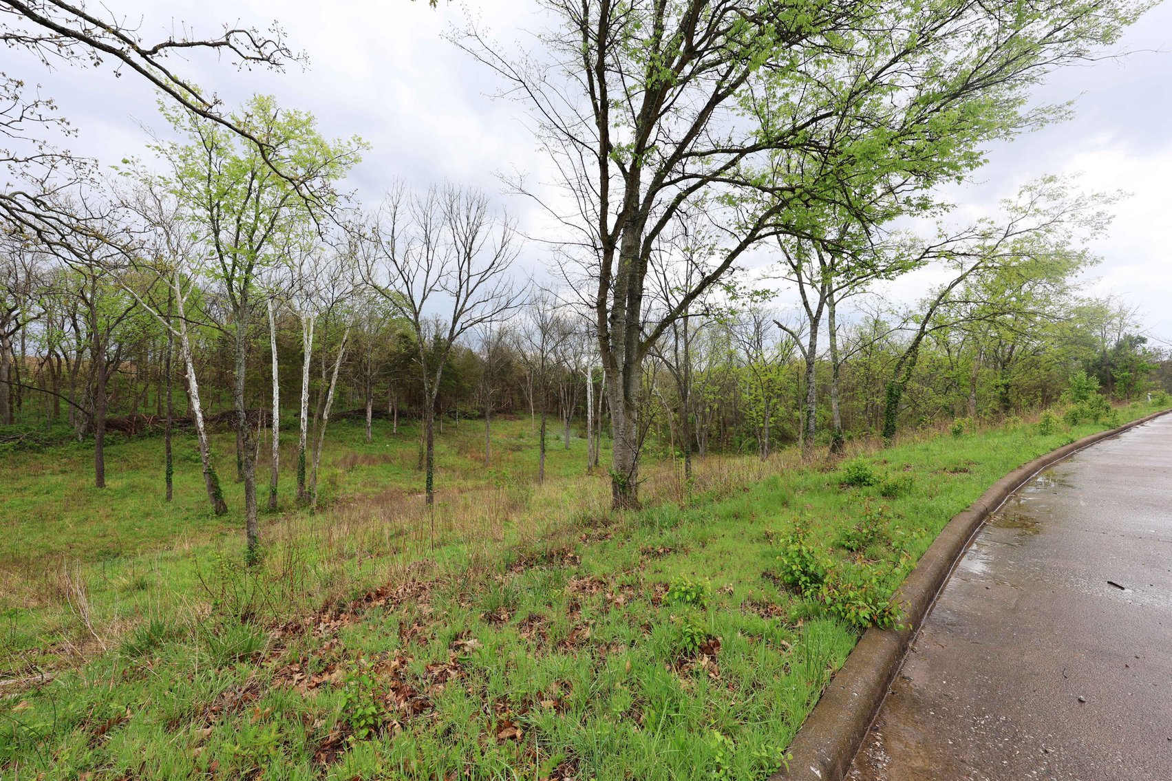 Image for Lot 12, 13, 14 Dorothy Dr, Perryville MO 63775, MLS #26021663