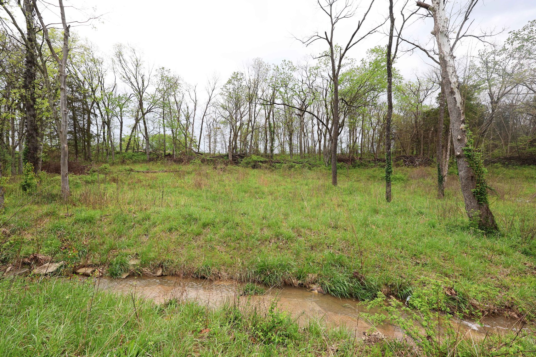 Image for Lot 12, 13, 14 Dorothy Dr, Perryville MO 63775, MLS #26021663