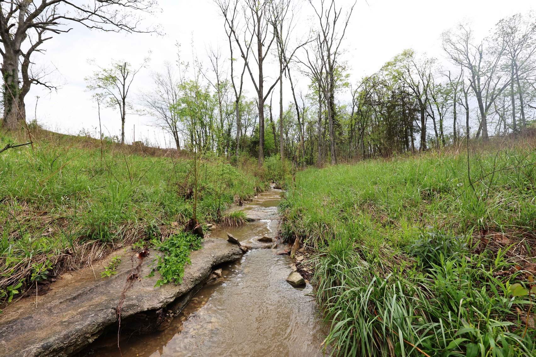 Image for Lot 12, 13, 14 Dorothy Dr, Perryville MO 63775, MLS #26021663