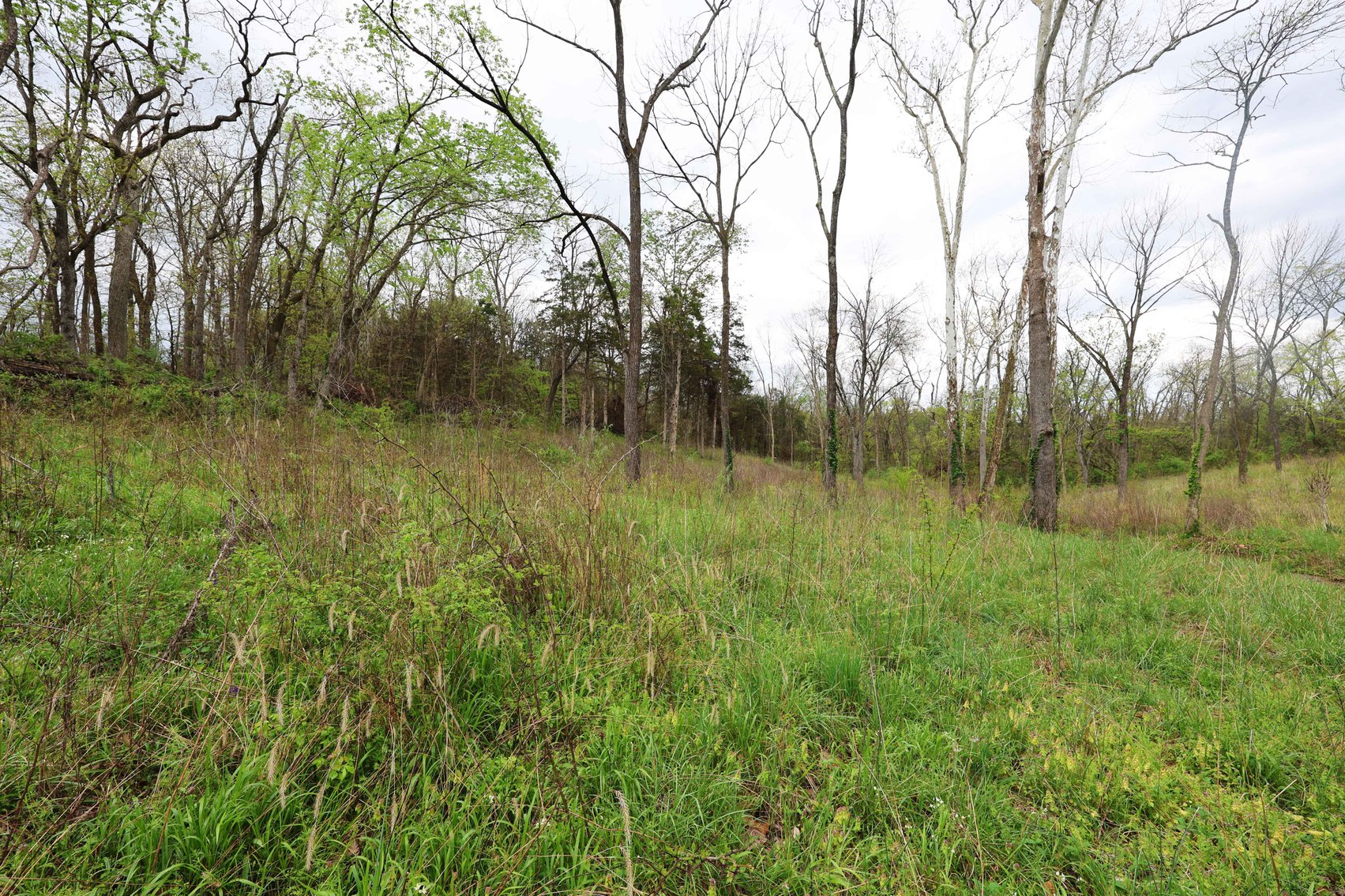 Image for Lot 12, 13, 14 Dorothy Dr, Perryville MO 63775, MLS #26021663