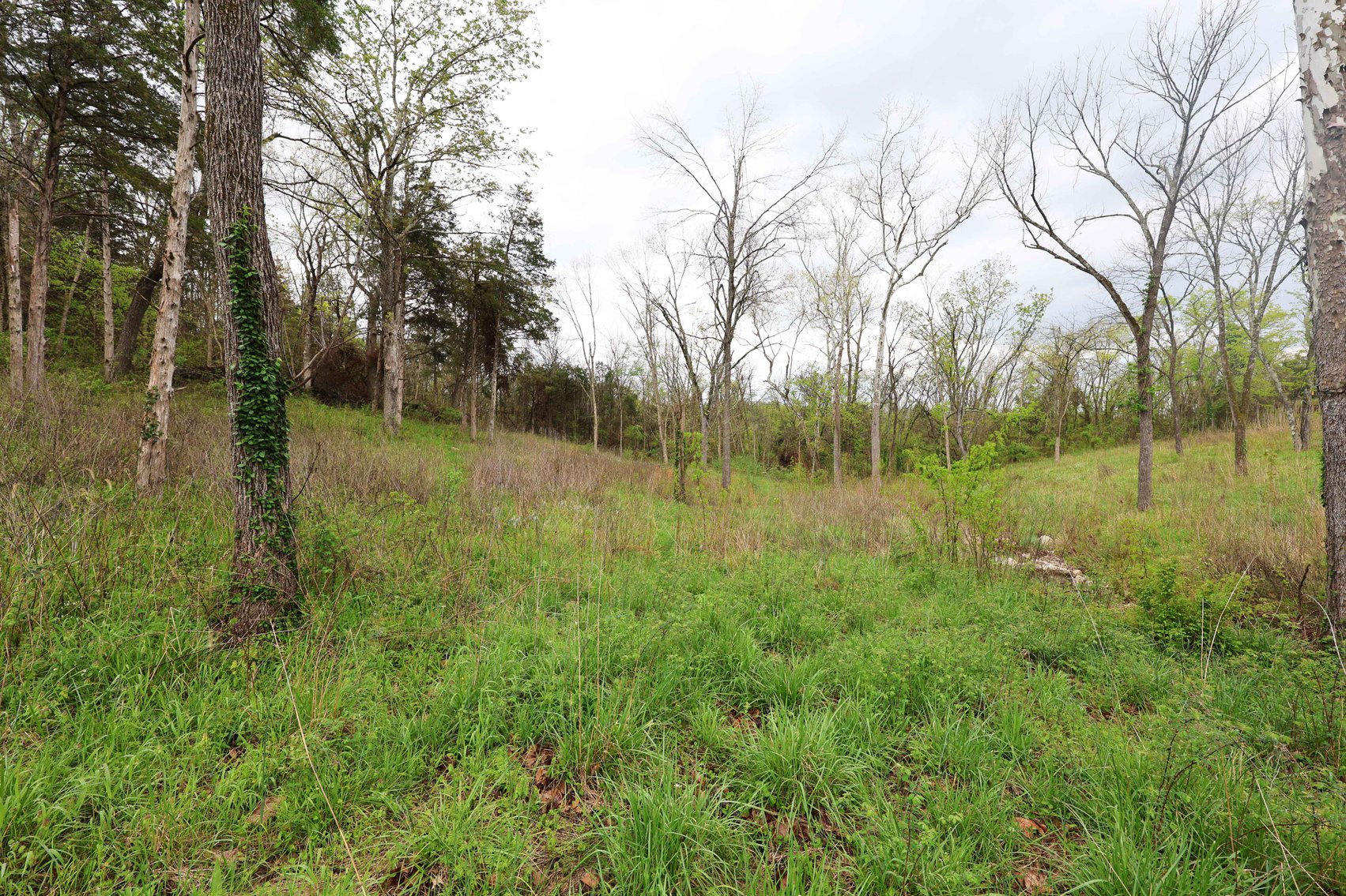Image for Lot 12, 13, 14 Dorothy Dr, Perryville MO 63775, MLS #26021663