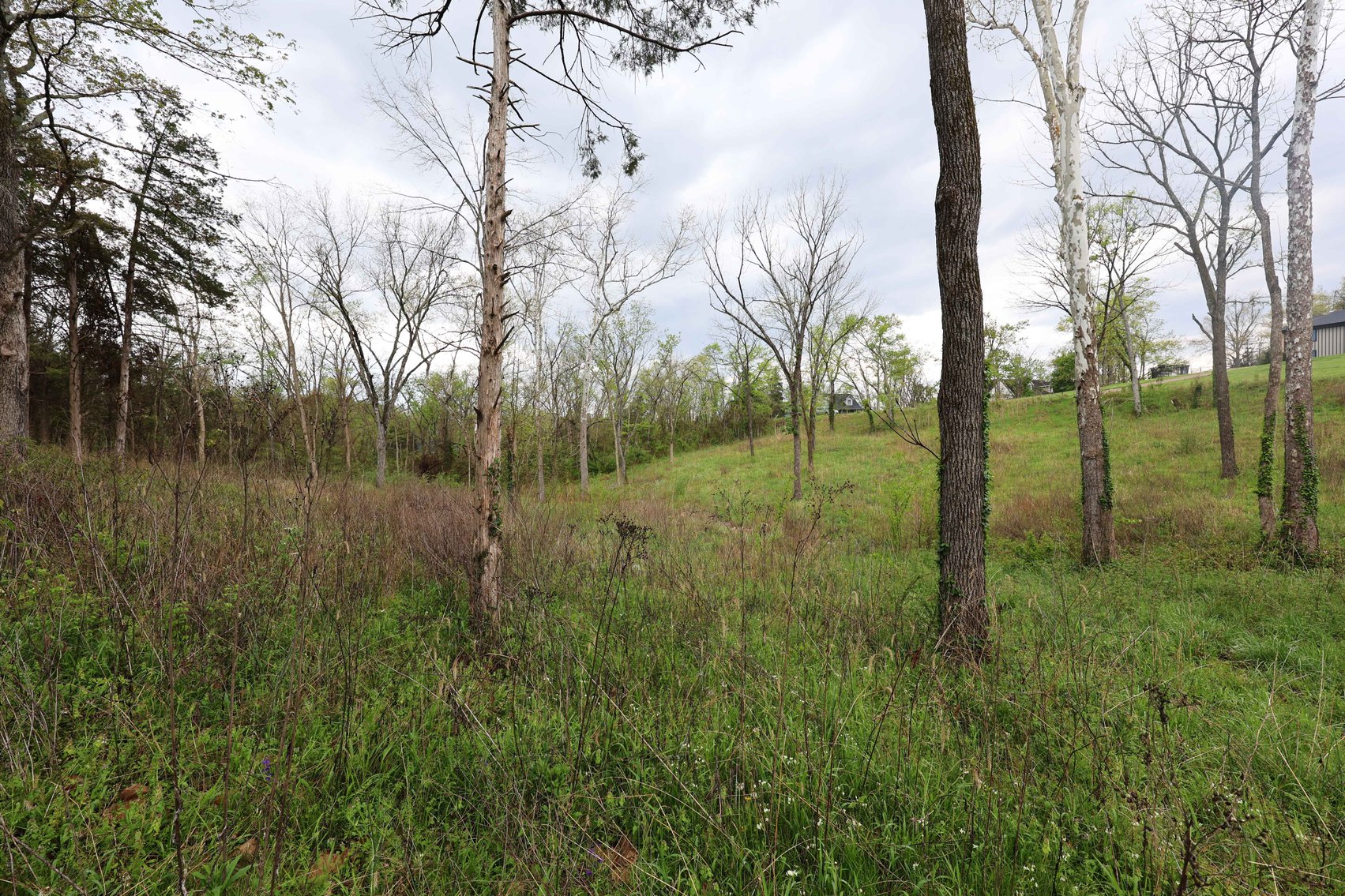 Image for Lot 12, 13, 14 Dorothy Dr, Perryville MO 63775, MLS #26021663