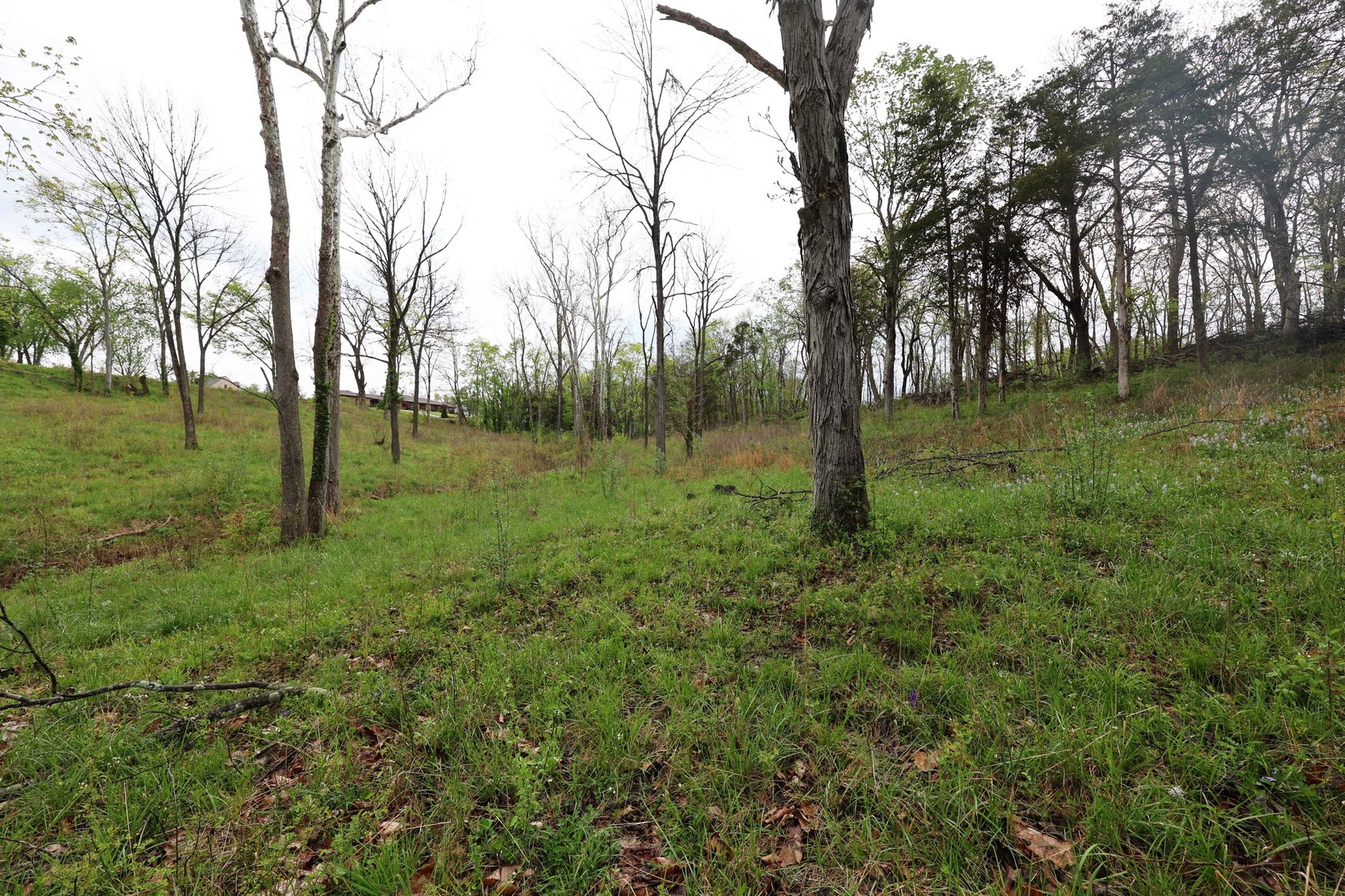 Image for Lot 12, 13, 14 Dorothy Dr, Perryville MO 63775, MLS #26021663