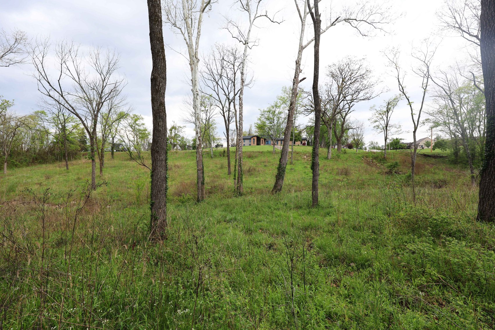 Image for Lot 12, 13, 14 Dorothy Dr, Perryville MO 63775, MLS #26021663