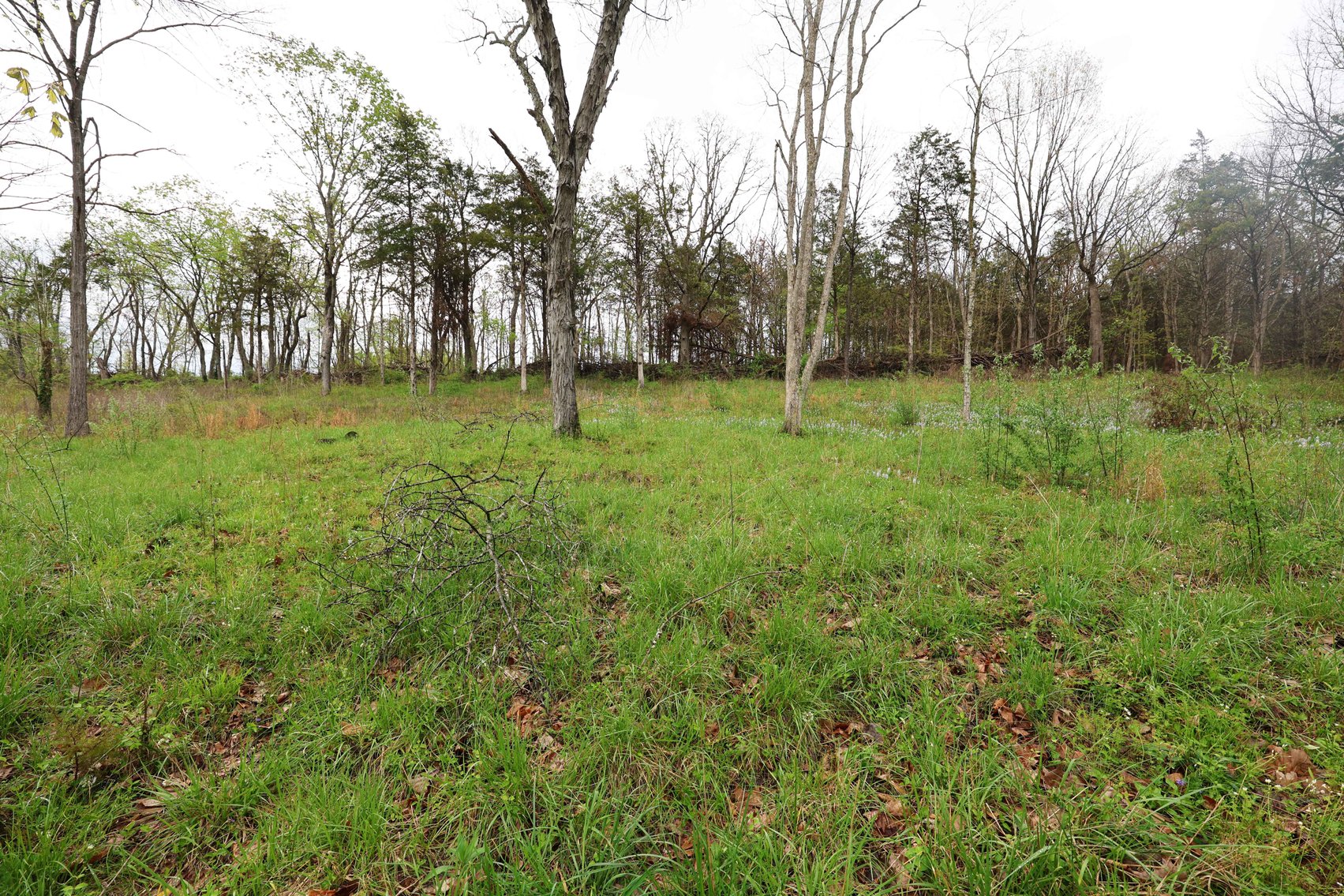 Image for Lot 12, 13, 14 Dorothy Dr, Perryville MO 63775, MLS #26021663