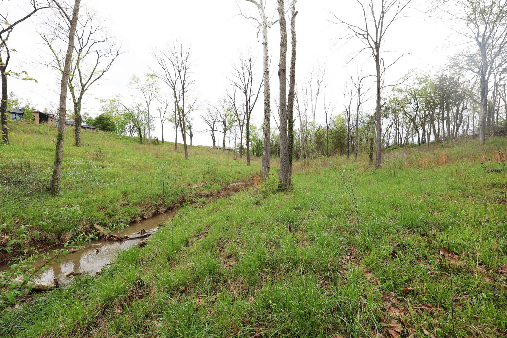 Image for Lot 12, 13, 14 Dorothy Dr, Perryville MO 63775, MLS #26021663