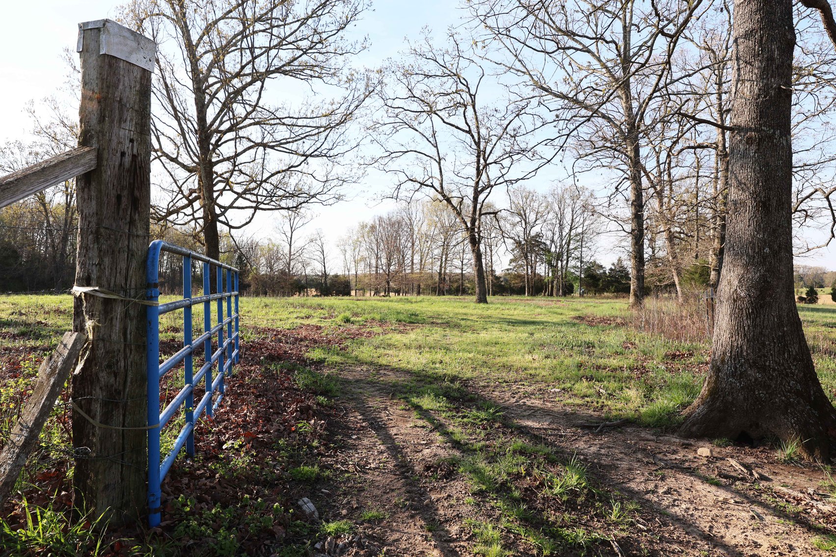 Image for Tract 1 State Hwy DD, Glen Allen, MO 63655, MLS #26022374