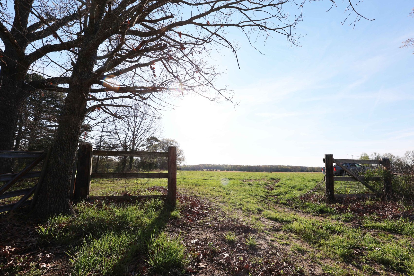 Image for Tract 1 State Hwy DD, Glen Allen, MO 63655, MLS #26022374