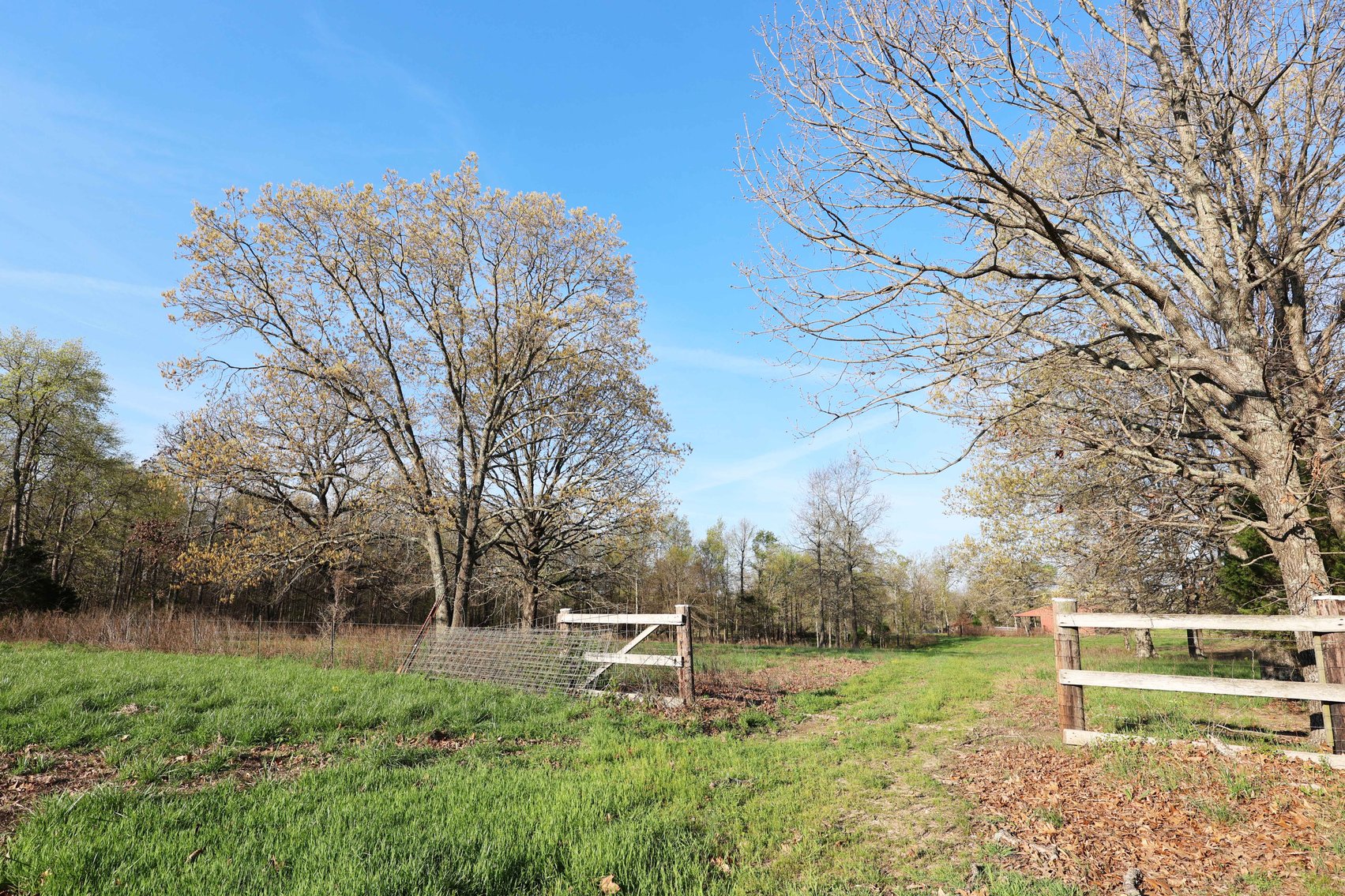 Image for Tract 1 State Hwy DD, Glen Allen, MO 63655, MLS #26022374