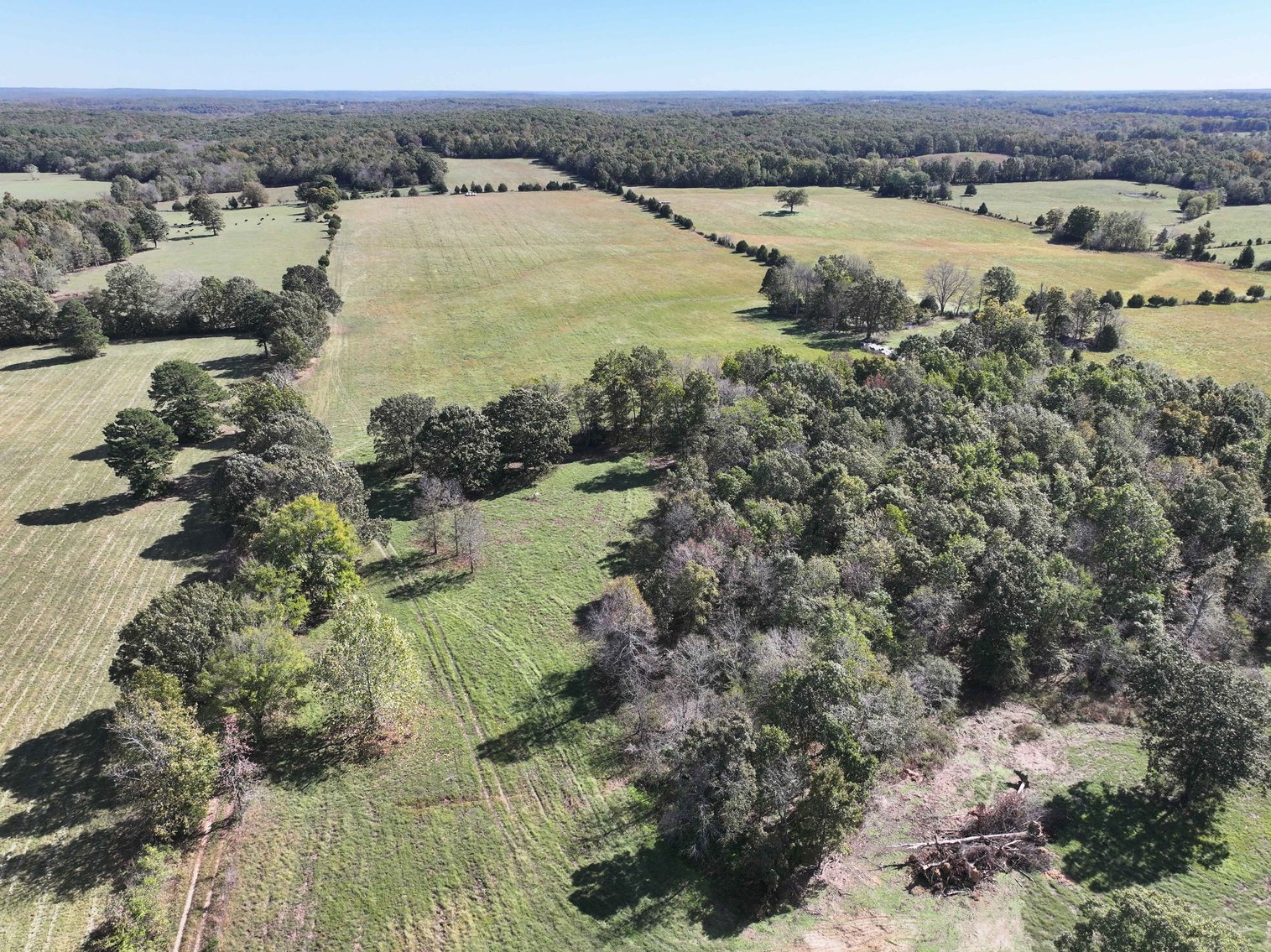 Image for Tract 1 State Hwy DD, Glen Allen, MO 63655, MLS #26022374