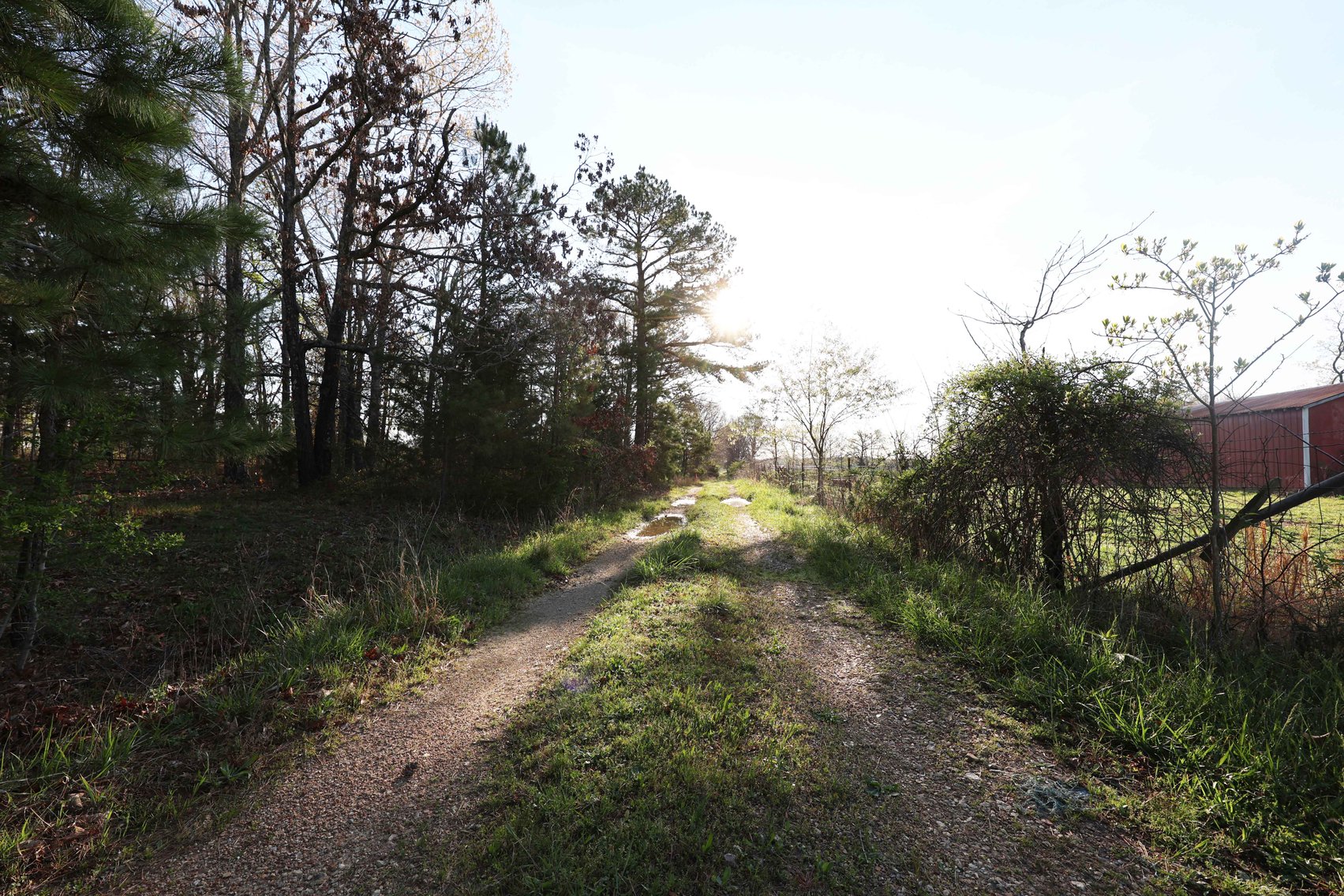 Image for Tract 1 State Hwy DD, Glen Allen, MO 63655, MLS #26022374