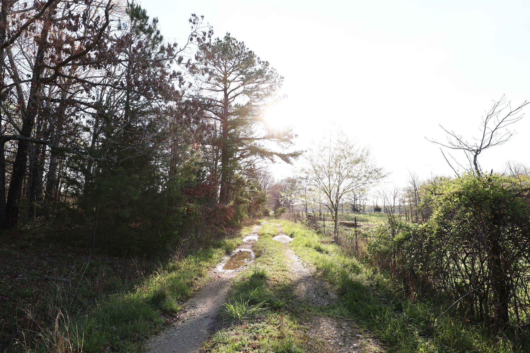 Image for Tract 1 State Hwy DD, Glen Allen, MO 63655, MLS #26022374