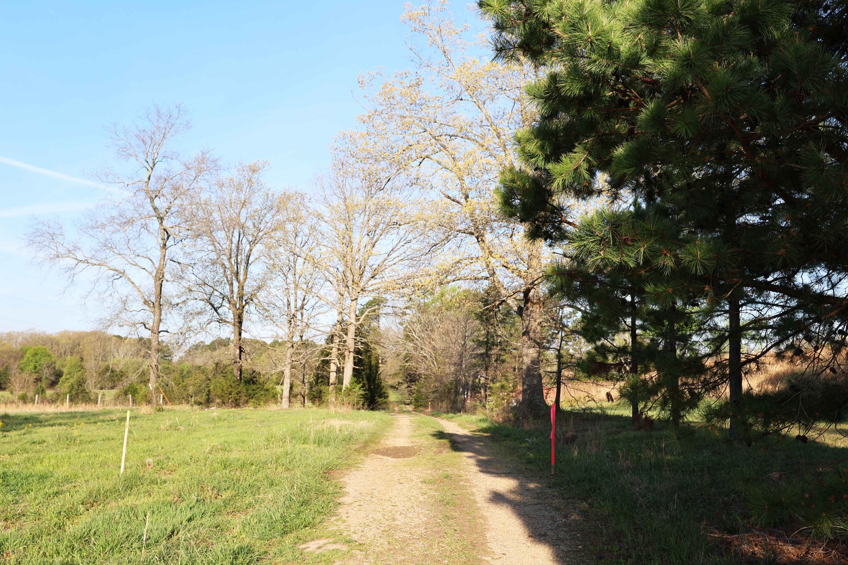 Image for Tract 1 State Hwy DD, Glen Allen, MO 63655, MLS #26022374